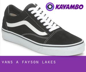 Vans a Fayson Lakes