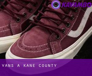 Vans a Kane County
