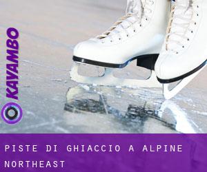 Piste di ghiaccio a Alpine Northeast