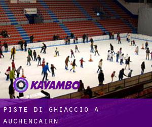 Piste di ghiaccio a Auchencairn Piste di ghiaccio a Auchencairn