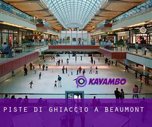 Piste di ghiaccio a Beaumont