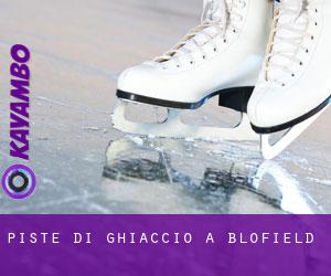 Piste di ghiaccio a Blofield