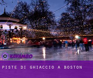 Piste di ghiaccio a Boston Piste di ghiaccio a Boston