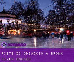 Piste di ghiaccio a Bronx River Houses