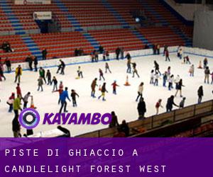 Piste di ghiaccio a Candlelight Forest West
