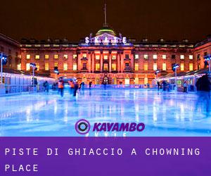 Piste di ghiaccio a Chowning Place