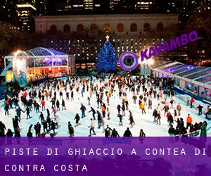 Piste di ghiaccio a Contea di Contra Costa Piste di ghiaccio a Contea di Contra Costa