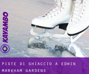 Piste di ghiaccio a Edwin Markham Gardens