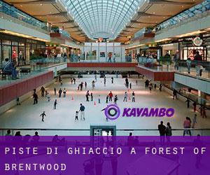 Piste di ghiaccio a Forest of Brentwood