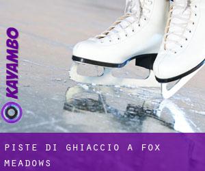 Piste di ghiaccio a Fox Meadows