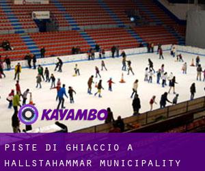Piste di ghiaccio a Hallstahammar Municipality Piste di ghiaccio a Hallstahammar Municipality