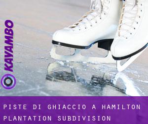 Piste di ghiaccio a Hamilton Plantation Subdivision