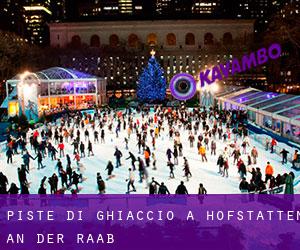 Piste di ghiaccio a Hofstätten an der Raab Piste di ghiaccio a Hofstätten an der Raab