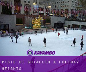 Piste di ghiaccio a Holiday Heights