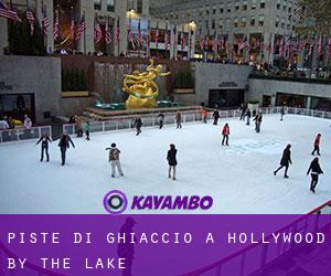 Piste di ghiaccio a Hollywood by the Lake
