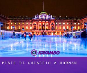 Piste di ghiaccio a Horman Piste di ghiaccio a Horman