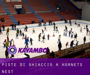 Piste di ghiaccio a Hornets Nest Piste di ghiaccio a Hornets Nest