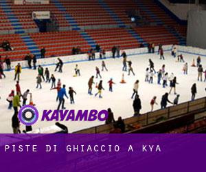 Piste di ghiaccio a Kōya Piste di ghiaccio a Kōya