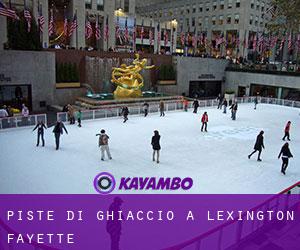 Piste di ghiaccio a Lexington-Fayette