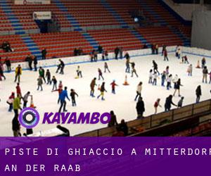 Piste di ghiaccio a Mitterdorf an der Raab Piste di ghiaccio a Mitterdorf an der Raab