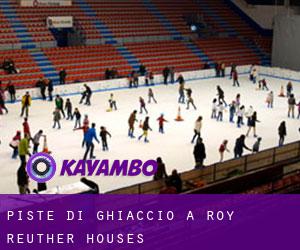 Piste di ghiaccio a Roy Reuther Houses