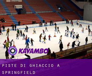 Piste di ghiaccio a Springfield Piste di ghiaccio a Springfield