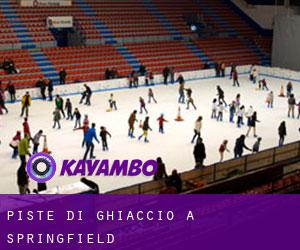 Piste di ghiaccio a Springfield