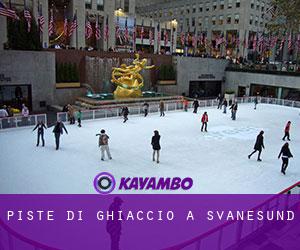 Piste di ghiaccio a Svanesund Piste di ghiaccio a Svanesund