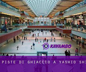 Piste di ghiaccio a Yashio-shi Piste di ghiaccio a Yashio-shi