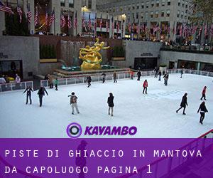 Piste di ghiaccio in Mantova da capoluogo - pagina 1
