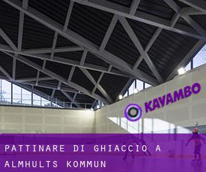 Pattinare di ghiaccio a Älmhults Kommun Pattinare di ghiaccio a Älmhults Kommun