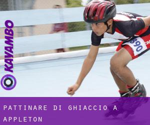 Pattinare di ghiaccio a Appleton