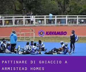 Pattinare di ghiaccio a Armistead Homes