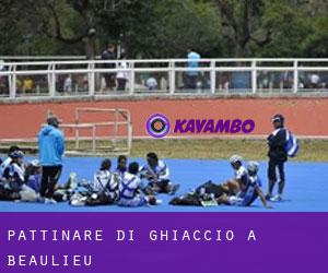 Pattinare di ghiaccio a Beaulieu Pattinare di ghiaccio a Beaulieu