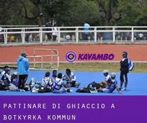 Pattinare di ghiaccio a Botkyrka Kommun Pattinare di ghiaccio a Botkyrka Kommun