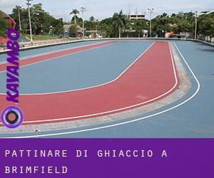 Pattinare di ghiaccio a Brimfield