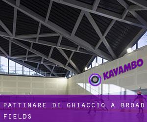 Pattinare di ghiaccio a Broad Fields