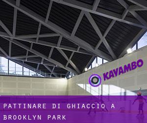 Pattinare di ghiaccio a Brooklyn Park Pattinare di ghiaccio a Brooklyn Park
