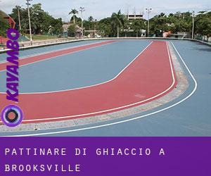 Pattinare di ghiaccio a Brooksville