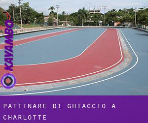 Pattinare di ghiaccio a Charlotte