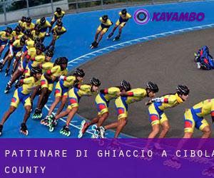 Pattinare di ghiaccio a Cibola County Pattinare di ghiaccio a Cibola County
