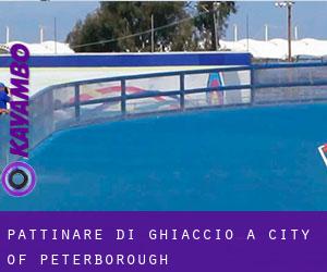 Pattinare di ghiaccio a City of Peterborough