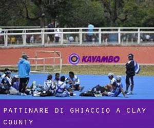 Pattinare di ghiaccio a Clay County