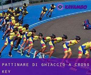 Pattinare di ghiaccio a Cross Key Pattinare di ghiaccio a Cross Key