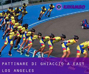 Pattinare di ghiaccio a East Los Angeles Pattinare di ghiaccio a East Los Angeles