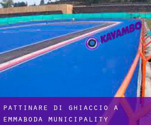 Pattinare di ghiaccio a Emmaboda Municipality