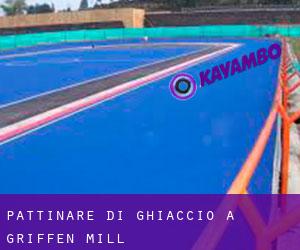Pattinare di ghiaccio a Griffen Mill Pattinare di ghiaccio a Griffen Mill