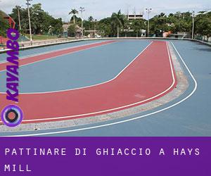 Pattinare di ghiaccio a Hays Mill Pattinare di ghiaccio a Hays Mill