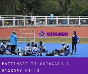 Pattinare di ghiaccio a Hickory Hills Pattinare di ghiaccio a Hickory Hills