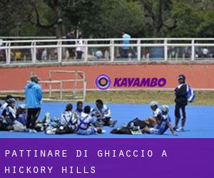 Pattinare di ghiaccio a Hickory Hills